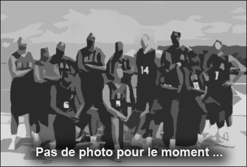 Pas de photo - Pays Voironnais Volley